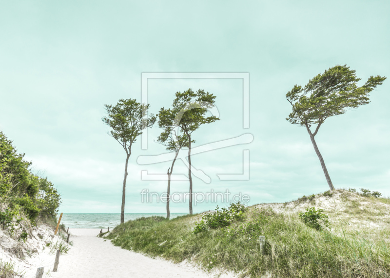 frei wählbarer Bildausschnitt für Ihr Bild auf Türfolie