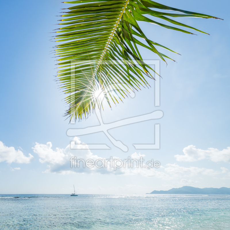 frei wählbarer Bildausschnitt für Ihr Bild auf Türfolie