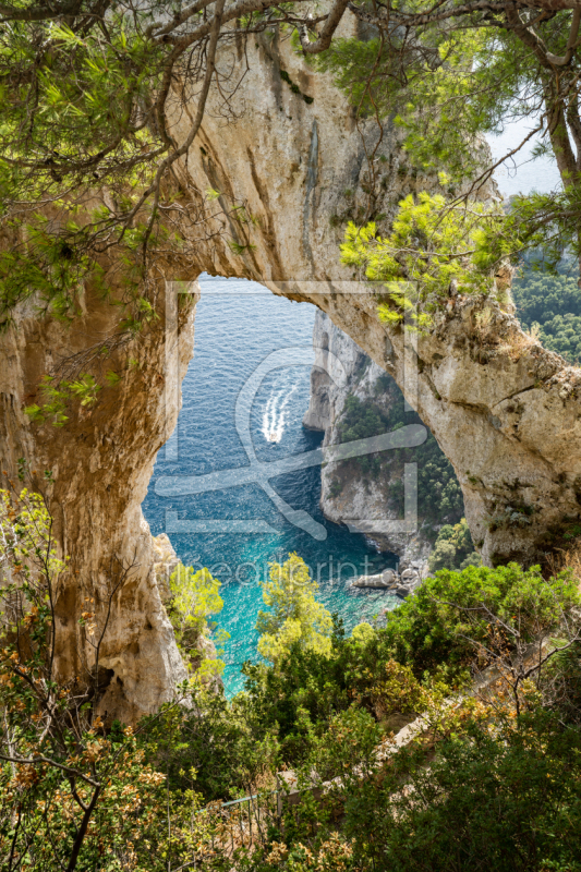 frei wählbarer Bildausschnitt für Ihr Bild auf Türfolie