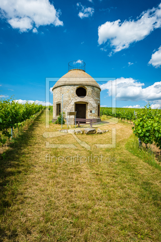 frei wählbarer Bildausschnitt für Ihr Bild auf Türfolie