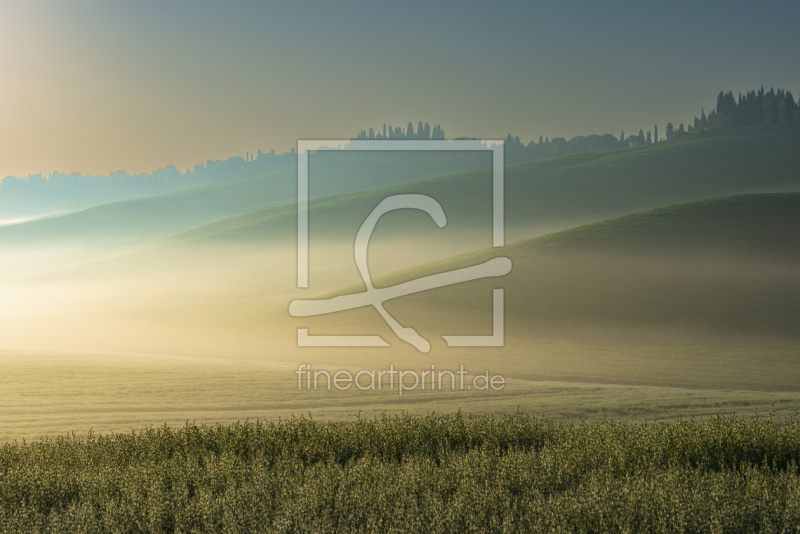 frei wählbarer Bildausschnitt für Ihr Bild auf Türfolie