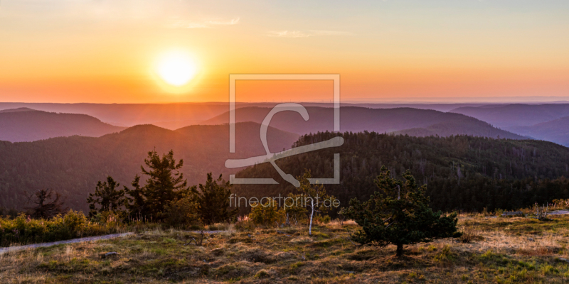 frei wählbarer Bildausschnitt für Ihr Bild auf Türfolie