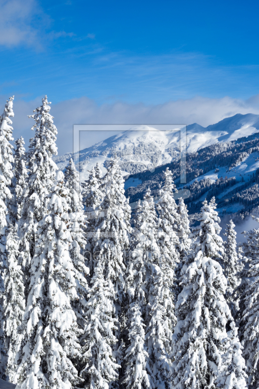 frei wählbarer Bildausschnitt für Ihr Bild auf Türfolie