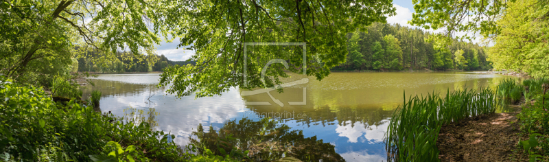 frei wählbarer Bildausschnitt für Ihr Bild auf Türfolie