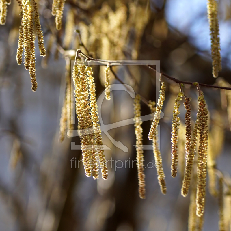 frei wählbarer Bildausschnitt für Ihr Bild auf Türfolie