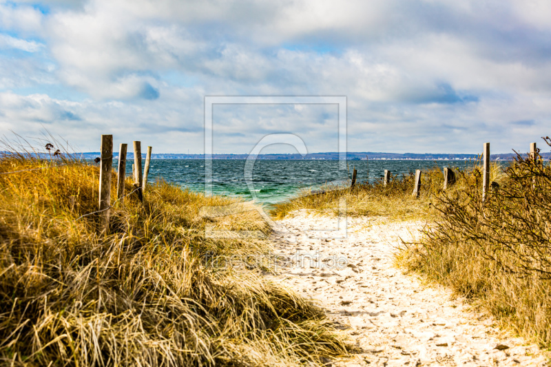 frei wählbarer Bildausschnitt für Ihr Bild auf Türfolie