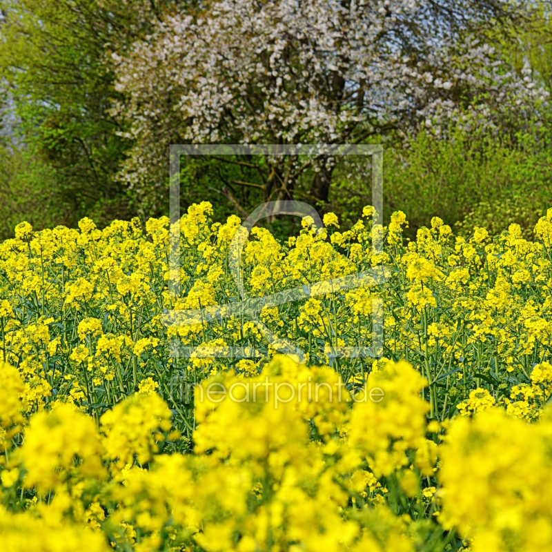 frei wählbarer Bildausschnitt für Ihr Bild auf Türfolie