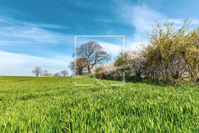 frei wählbarer Bildausschnitt für Ihr Bild auf Türfolie