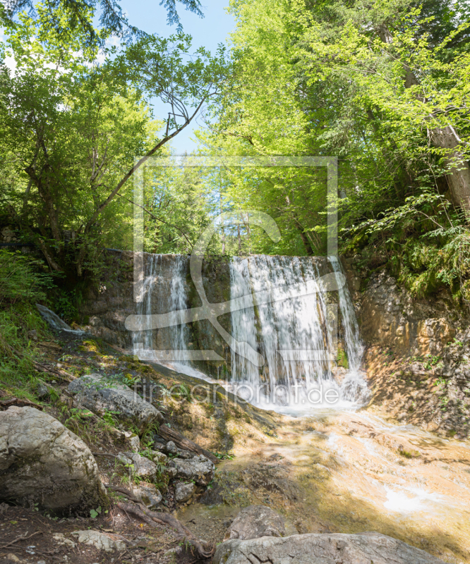 frei wählbarer Bildausschnitt für Ihr Bild auf Türfolie