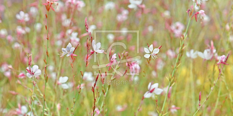 frei wählbarer Bildausschnitt für Ihr Bild auf Türfolie