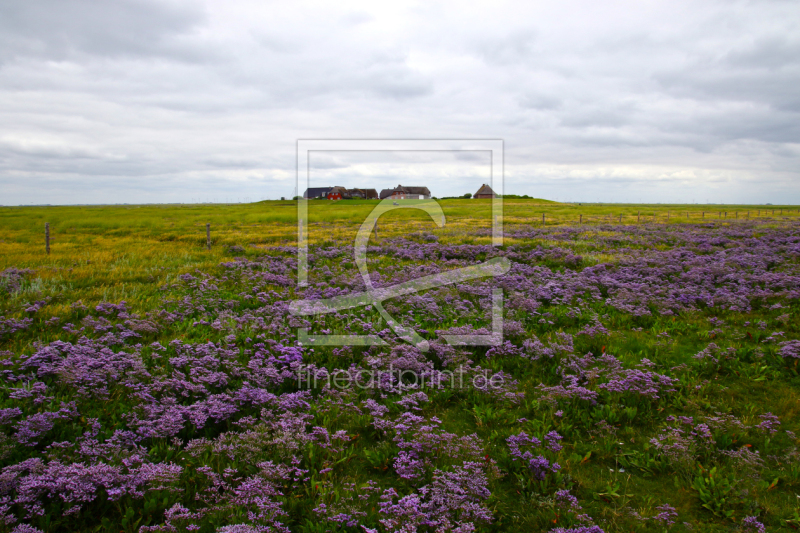 frei wählbarer Bildausschnitt für Ihr Bild auf Türfolie
