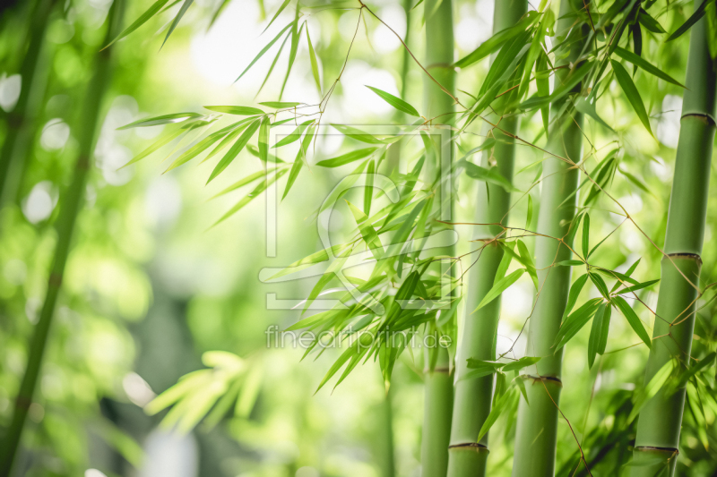 frei wählbarer Bildausschnitt für Ihr Bild auf Türfolie