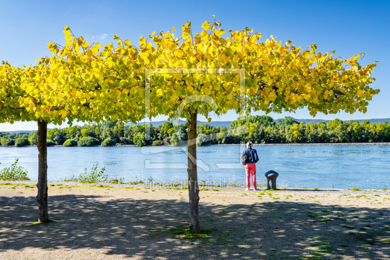 frei wählbarer Bildausschnitt für Ihr Bild auf Türfolie