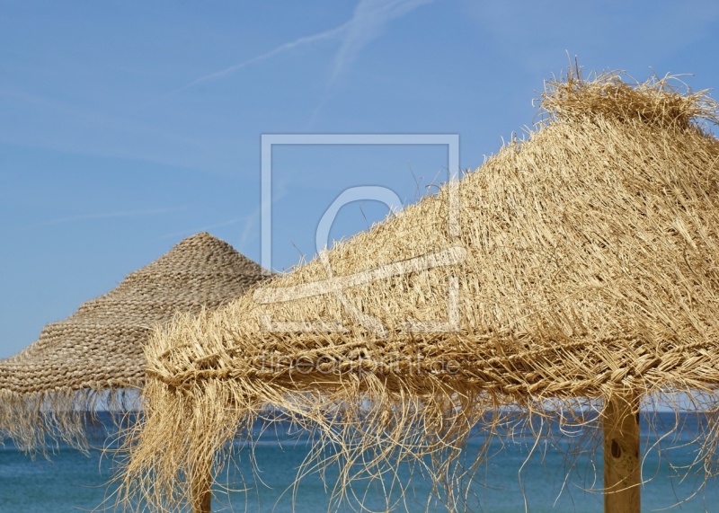 frei wählbarer Bildausschnitt für Ihr Bild auf Türfolie