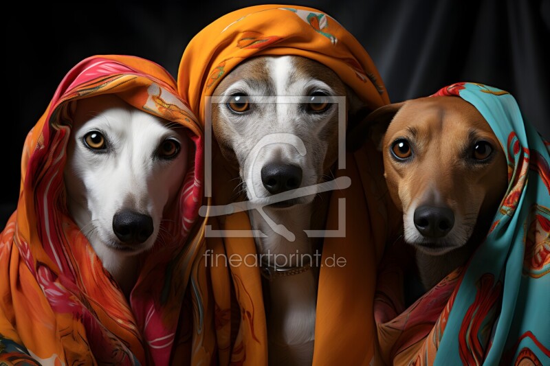 frei wählbarer Bildausschnitt für Ihr Bild auf Türfolie