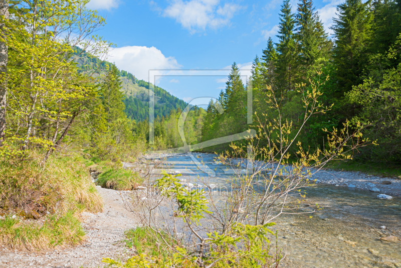 frei wählbarer Bildausschnitt für Ihr Bild auf Türfolie