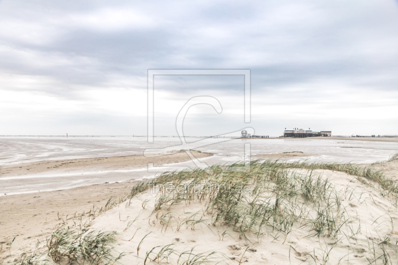 frei wählbarer Bildausschnitt für Ihr Bild auf Türfolie