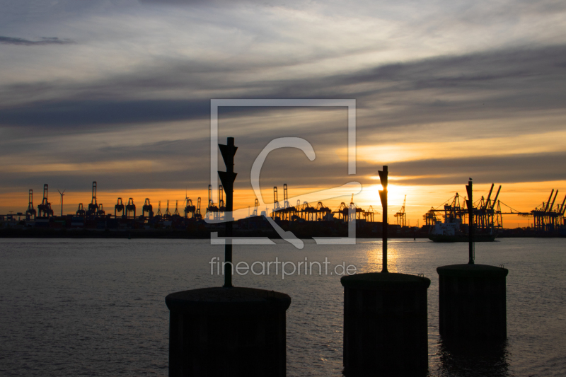 frei wählbarer Bildausschnitt für Ihr Bild auf Türfolie