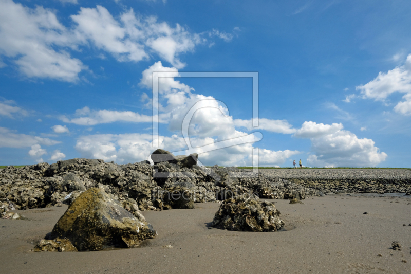 frei wählbarer Bildausschnitt für Ihr Bild auf Türfolie