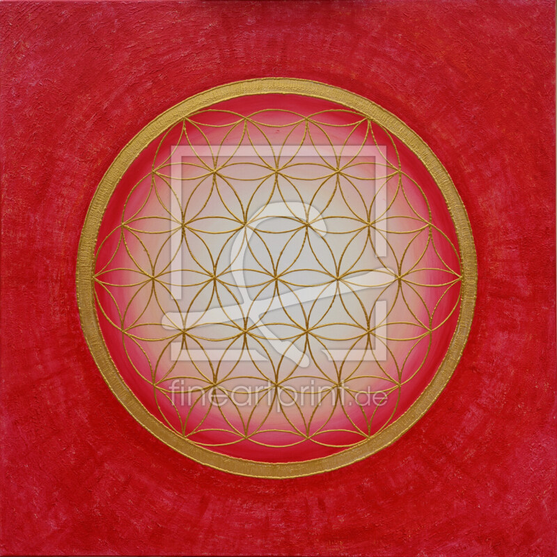 frei wählbarer Bildausschnitt für Ihr Bild auf Türfolie