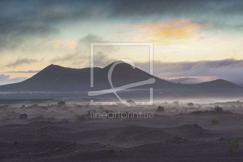 frei wählbarer Bildausschnitt für Ihr Bild auf Türfolie