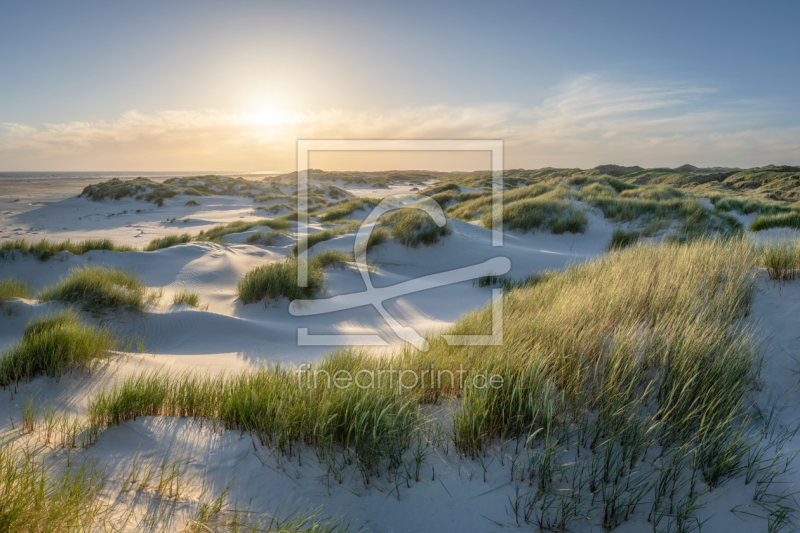 frei wählbarer Bildausschnitt für Ihr Bild auf Türfolie