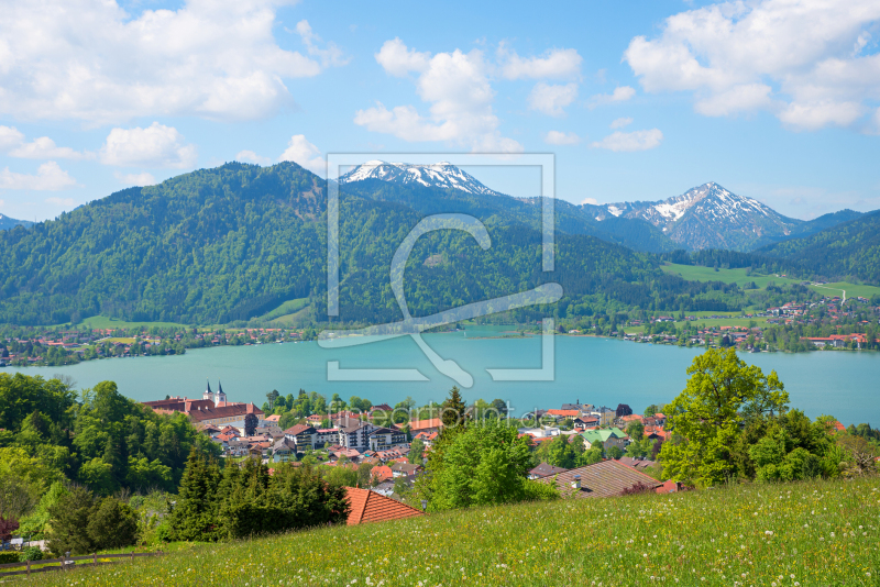frei wählbarer Bildausschnitt für Ihr Bild auf Türfolie