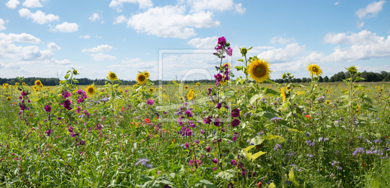 frei wählbarer Bildausschnitt für Ihr Bild auf Türfolie