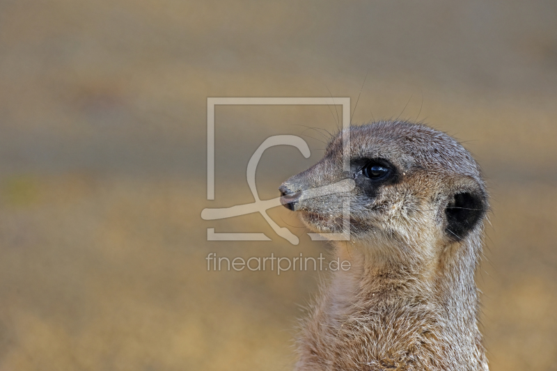 frei wählbarer Bildausschnitt für Ihr Bild auf Türfolie