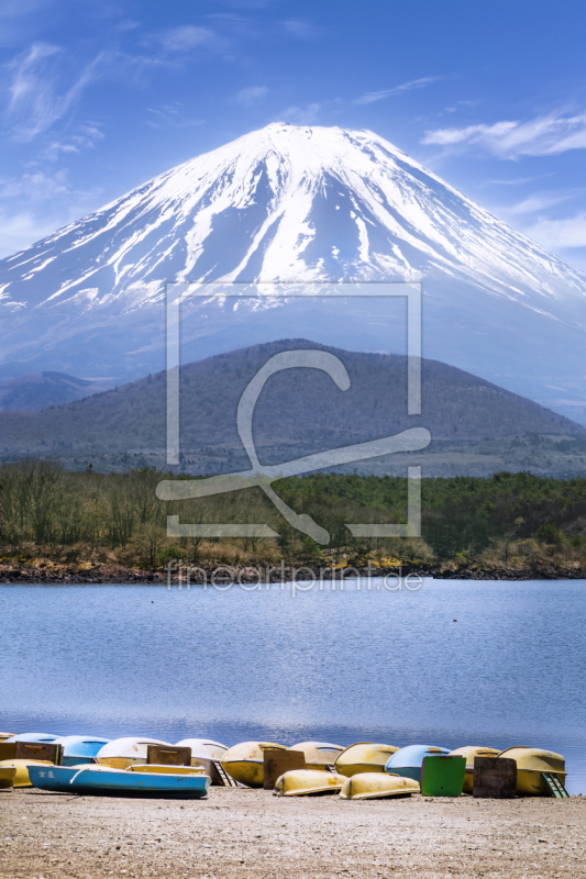 frei wählbarer Bildausschnitt für Ihr Bild auf Türfolie