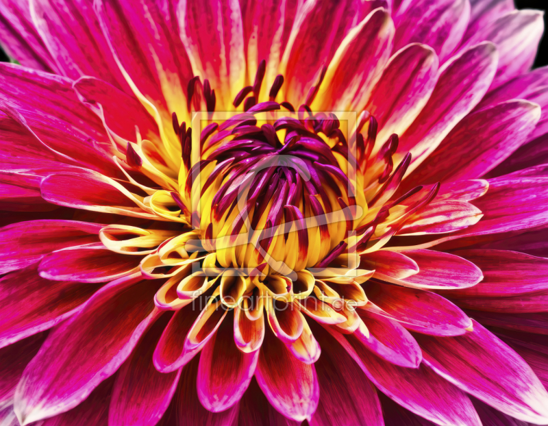 frei wählbarer Bildausschnitt für Ihr Bild auf Türfolie