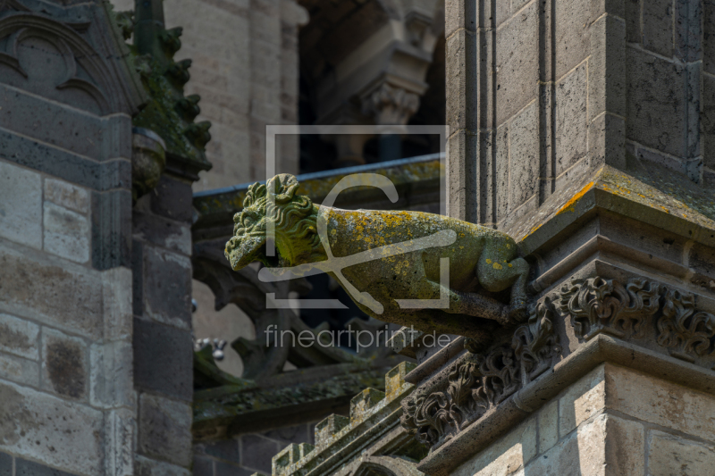 frei wählbarer Bildausschnitt für Ihr Bild auf Türfolie