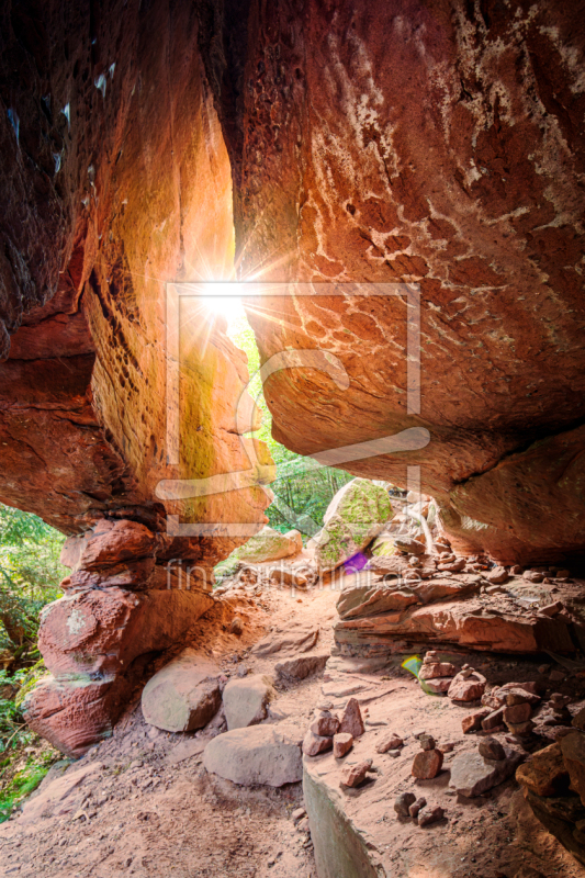 frei wählbarer Bildausschnitt für Ihr Bild auf Türfolie