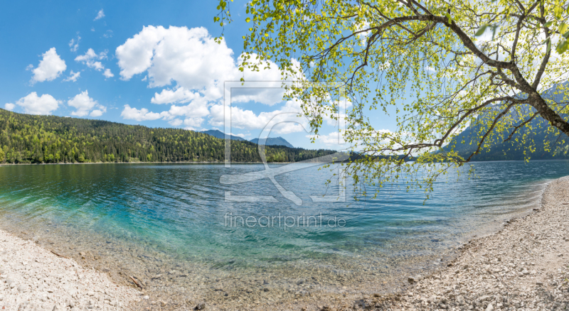 frei wählbarer Bildausschnitt für Ihr Bild auf Türfolie