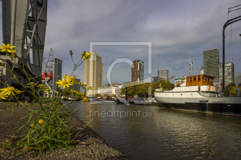 frei wählbarer Bildausschnitt für Ihr Bild auf Türfolie