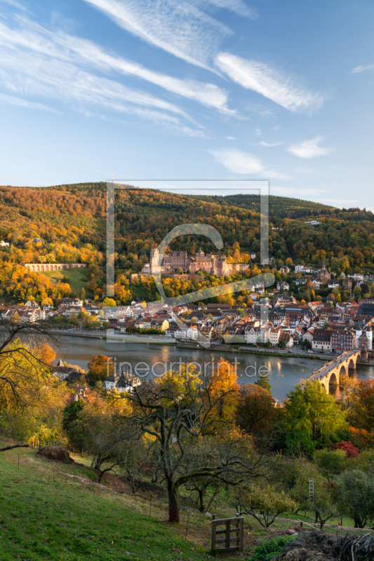 frei wählbarer Bildausschnitt für Ihr Bild auf Türfolie