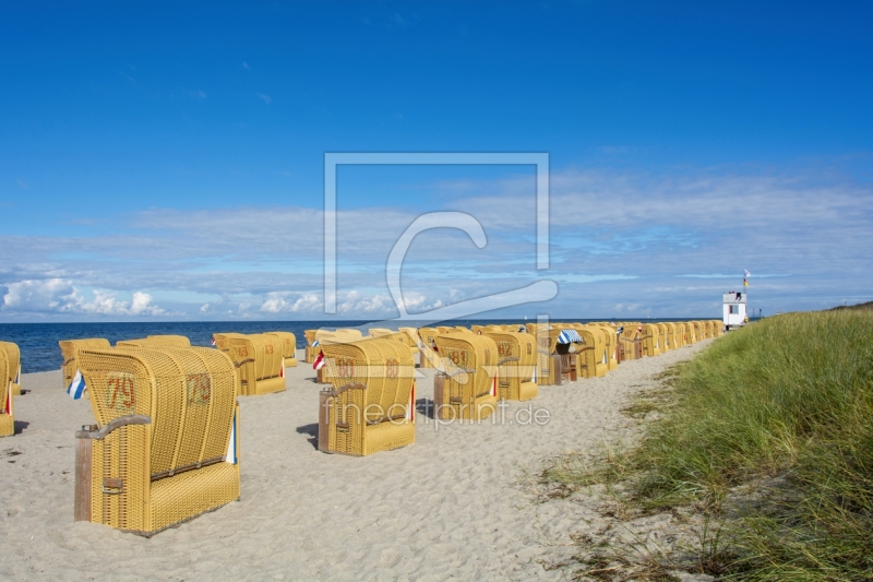 frei wählbarer Bildausschnitt für Ihr Bild auf Türfolie