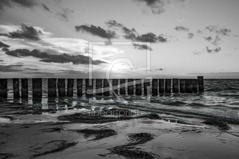 frei wählbarer Bildausschnitt für Ihr Bild auf Türfolie