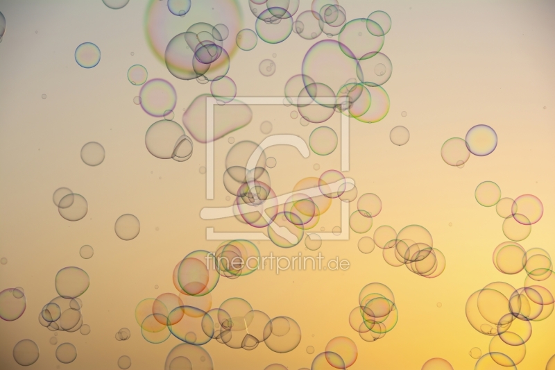 frei wählbarer Bildausschnitt für Ihr Bild auf Türfolie