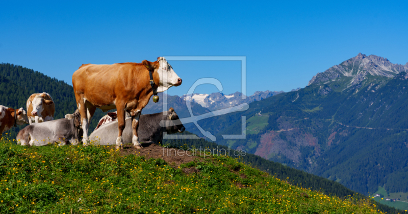 frei wählbarer Bildausschnitt für Ihr Bild auf Türfolie