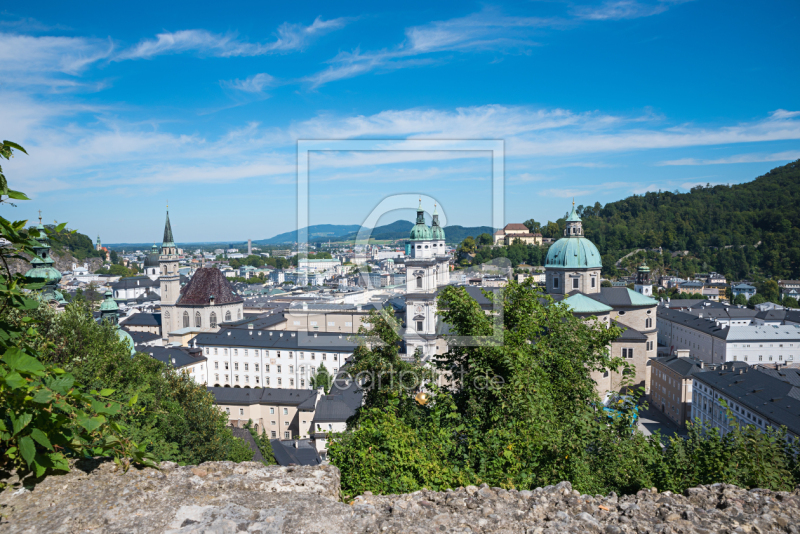 frei wählbarer Bildausschnitt für Ihr Bild auf Türfolie
