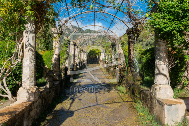 frei wählbarer Bildausschnitt für Ihr Bild auf Türfolie