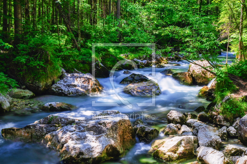 frei wählbarer Bildausschnitt für Ihr Bild auf Türfolie