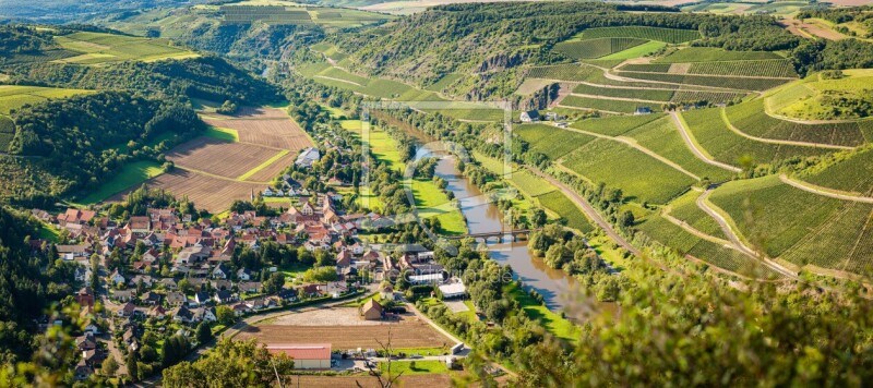 frei wählbarer Bildausschnitt für Ihr Bild auf Türfolie