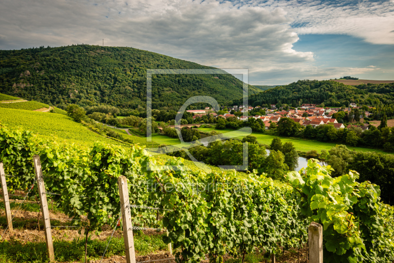 frei wählbarer Bildausschnitt für Ihr Bild auf Türfolie
