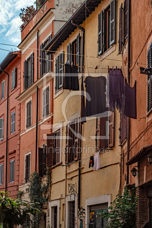 frei wählbarer Bildausschnitt für Ihr Bild auf Türfolie