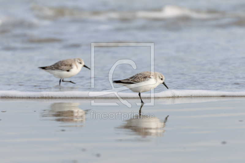 frei wählbarer Bildausschnitt für Ihr Bild auf Türfolie