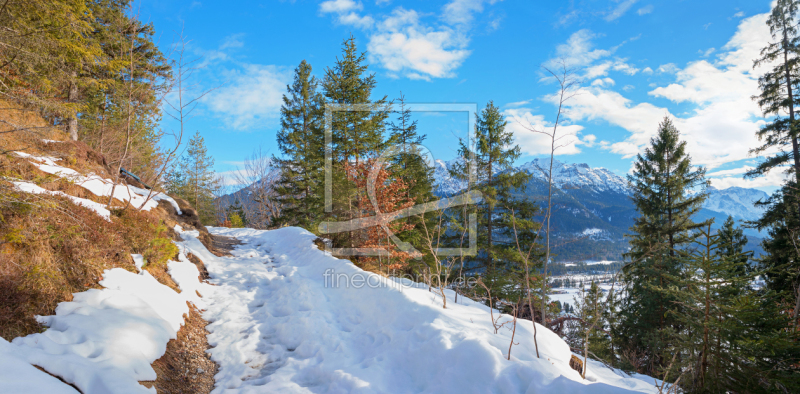 frei wählbarer Bildausschnitt für Ihr Bild auf Türfolie