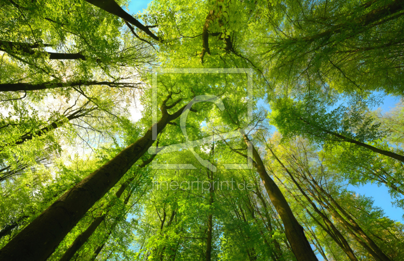 frei wählbarer Bildausschnitt für Ihr Bild auf Türfolie