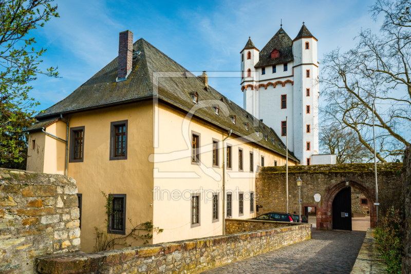 frei wählbarer Bildausschnitt für Ihr Bild auf Türfolie